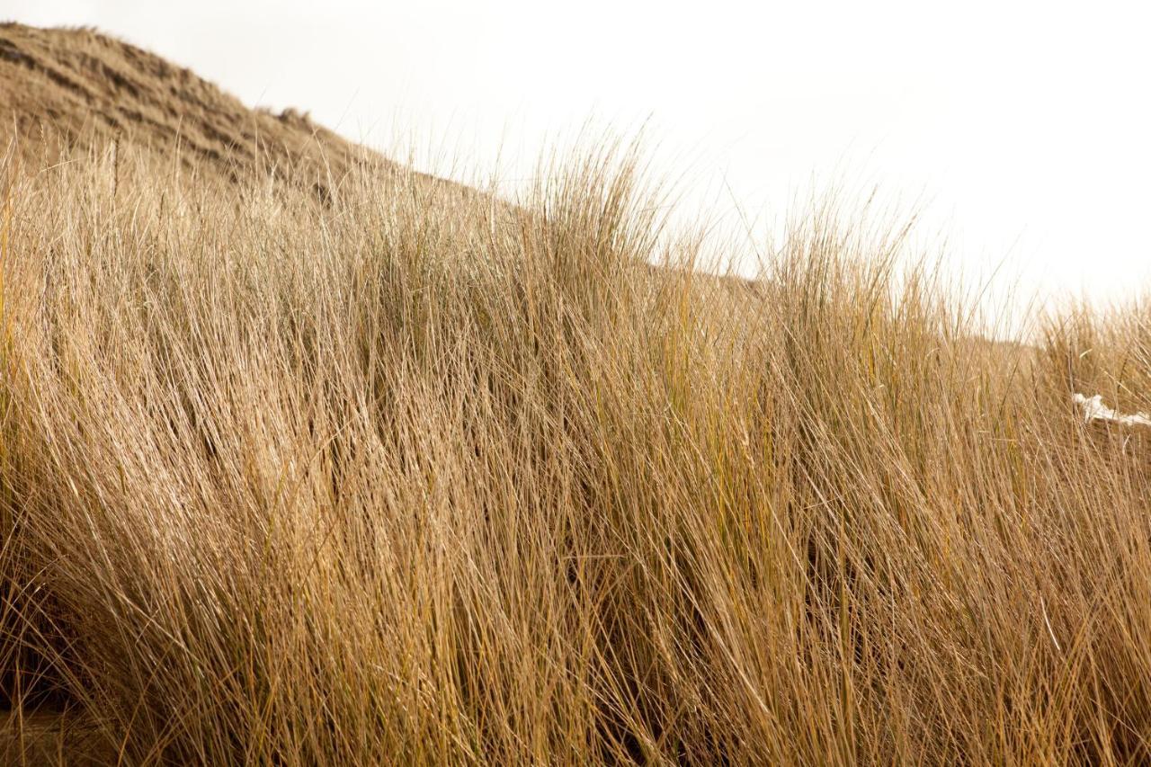 Hof Aan Zee Dishoek Exterior foto